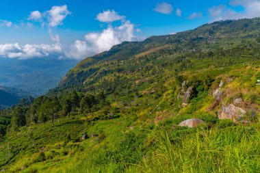 Haputale yakınlarındaki Sri Lanka 'da İskoçya.