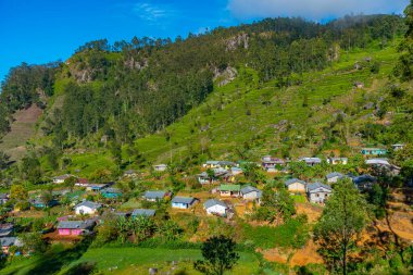 Haputale, Sri Lanka yakınlarındaki Lipton 'un koltuğundan Tamil çay toplayıcıları..