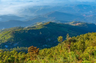 Haputale yakınlarındaki Sri Lanka 'da İskoçya.