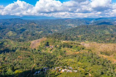 Sri Lanka 'da Haputale çevresindeki çay tarlaları.