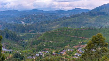 Sri Lanka 'daki Haputale Panorama Manzarası.