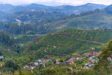 Sri Lanka 'daki Haputale Panorama Manzarası.