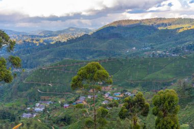 Sri Lanka 'daki Haputale Panorama Manzarası.