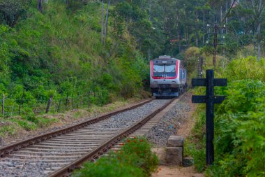 Sri Lanka 'daki çay tarlaları arasında modern Çin treni.