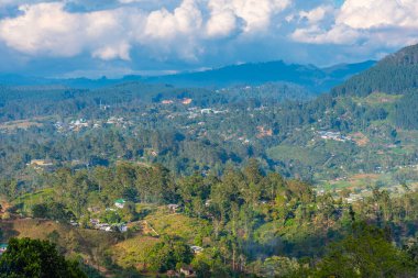 Sri Lanka 'da Haputale çevresindeki çay tarlaları.