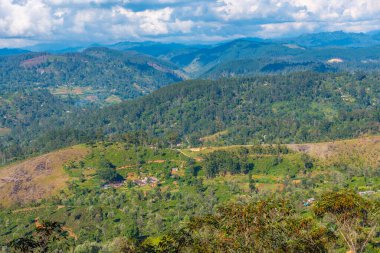 Sri Lanka 'nın tepeli manzarası Haputale yakınlarındaki köyler ve çay tarlalarıyla benekli..