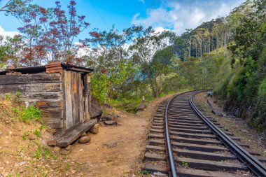 Sri Lanka 'daki çay tarlaları arasında bir yamaçtaki tren yolu..