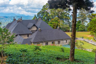Adisham Manastırı yakınındaki Haputale, Sri Lanka.
