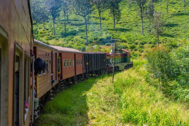 Sri Lanka 'daki çay tarlalarının arasında bir yamaçta tren dolanıyor..