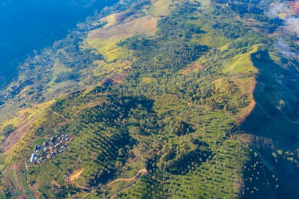 Vista Aérea Del Mirador Del Asiento Lipton Las Plantaciones Adyacentes — Foto de Stock