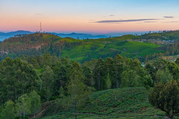 Stock image Tea plantations around Lipton's Seat near Haputale, Sri Lanka.