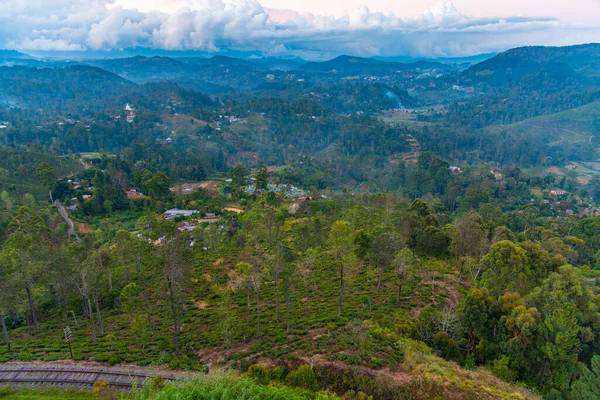 Tea Ültetvények Haputale Környékén Srí Lankán — Stock Fotó