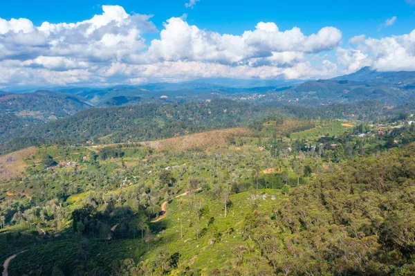 Piantagioni Intorno Haputale Sri Lanka — Foto Stock