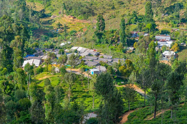 Teeplantagen Rund Haputale Sri Lanka — Stockfoto