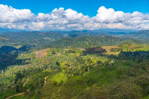 Piantagioni Intorno Haputale Sri Lanka — Foto Stock