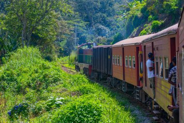 Sri Lanka 'daki çay tarlalarının arasında bir yamaçta tren dolanıyor..