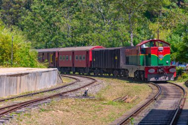Sri Lanka 'daki çay tarlalarının arasında bir yamaçta tren dolanıyor..