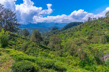 Sri Lanka 'nın tepeli manzarası Haputale yakınlarındaki köyler ve çay tarlalarıyla benekli..