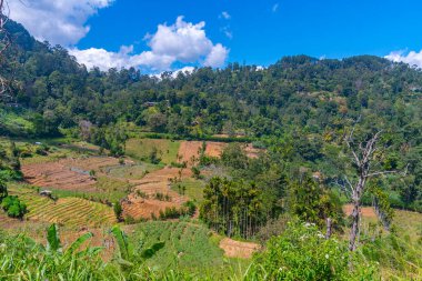 Sri Lanka 'nın tepeli manzarası Haputale yakınlarındaki köyler ve çay tarlalarıyla benekli..