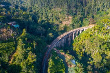 Ella yakınlarındaki Nine Arches Köprüsü, Sri Lanka.