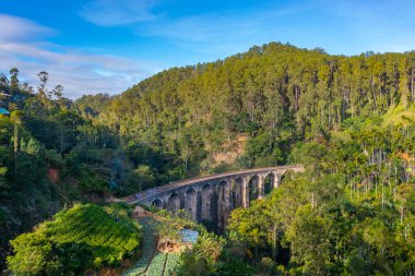 Ella yakınlarındaki Nine Arches Köprüsü, Sri Lanka.