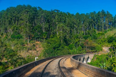 Ella yakınlarındaki Nine Arches Köprüsü, Sri Lanka.