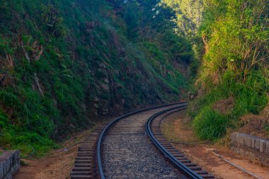 Ella yakınlarındaki Nine Arches Köprüsü, Sri Lanka.