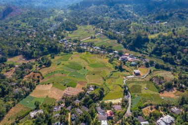 Ella yakınlarındaki köyler ve çay tarlalarıyla dolu Sri Lanka 'nın tepeli manzarası.
