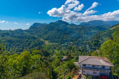 Sri Lanka 'daki Uva Halpewatte çay evinin manzarası.