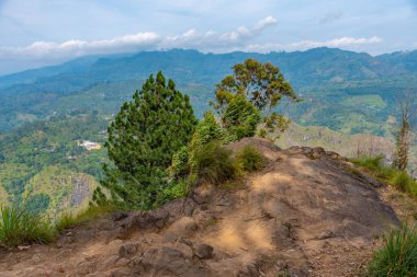 Ella Rock 'tan Sri Lanka dağlarının Panorama manzarası.