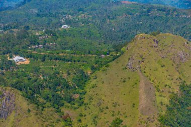 Sri Lanka 'da Ella çevresindeki çay tarlaları.