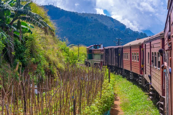 Tåg Slingrar Sig Sluttning Spår Bland Teplantager Sri Lanka — Stockfoto