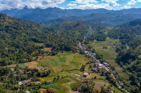 Ella Yakınlarındaki Köyler Çay Tarlalarıyla Dolu Sri Lanka Nın Tepeli — Stok fotoğraf