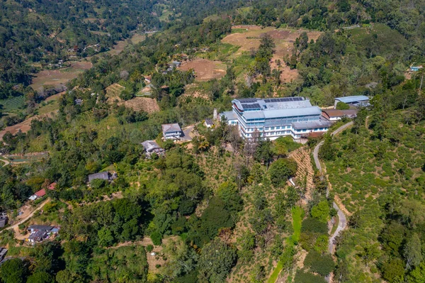 stock image Panorama view of Uva Halpewatte tea estate at Sri Lanka.