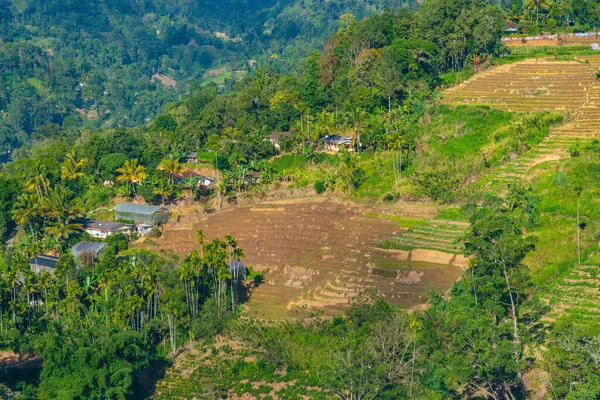 Paisaje Montañoso Sri Lanka Salpicado Pueblos Plantaciones Cerca Ella — Foto de Stock