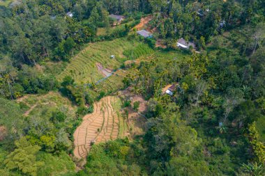 Ella yakınlarındaki köyler ve çay tarlalarıyla dolu Sri Lanka 'nın tepeli manzarası.