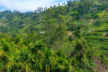 Ella yakınlarındaki köyler ve çay tarlalarıyla dolu Sri Lanka 'nın tepeli manzarası.