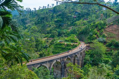 Ella yakınlarındaki Nine Arches Köprüsü, Sri Lanka.