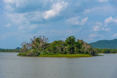 Sri Lanka 'daki Tissa Weva Gölü.