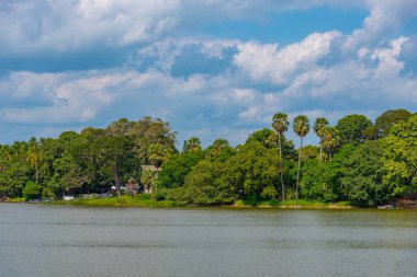 Sri Lanka 'daki Tissa Weva Gölü.