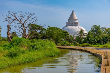 Sri Lanka 'da Tissamaharama Stupa.