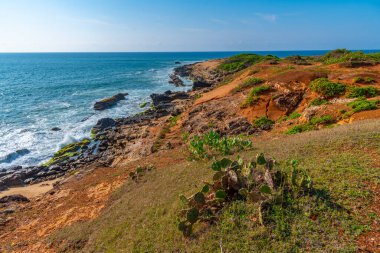 Sri Lanka 'daki Bundala Ulusal Parkı' nda plaj.