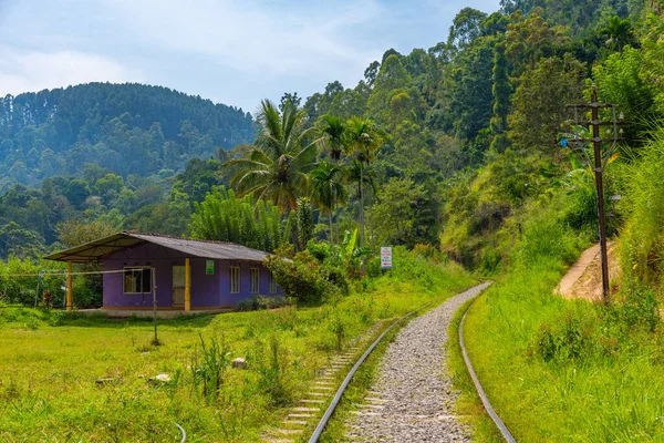 stock image Rail track on a hillside track among tea plantations at Sri Lanka.