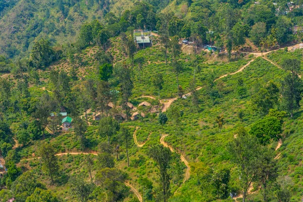 斯里兰卡艾拉小亚当峰周围的茶园 — 图库照片