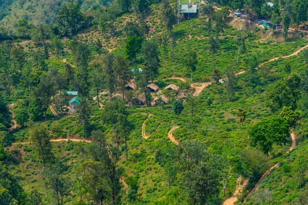 Teeplantage Rund Little Adam Peak Ella Sri Lanka — Stockfoto