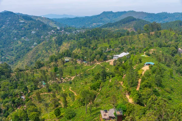 Teeplantage Rund Little Adam Peak Ella Sri Lanka — Stockfoto
