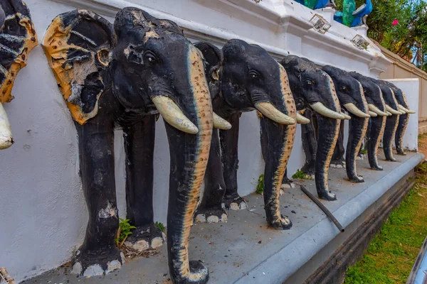 Резьба Слону Храме Маха Девале Катарагаме Шри Ланка — стоковое фото