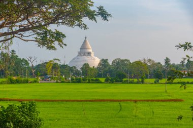 Sri Lanka 'da Tissamaharama Stupa.