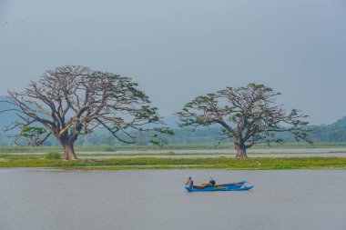 Sri Lanka 'daki Tissa Weva Gölü.