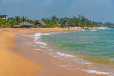 Sri Lanka 'daki Marakolliya sahilinde güneşli bir gün..